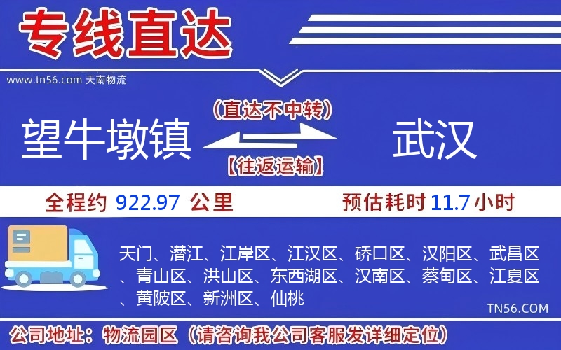 望牛墩镇到武汉物流公司